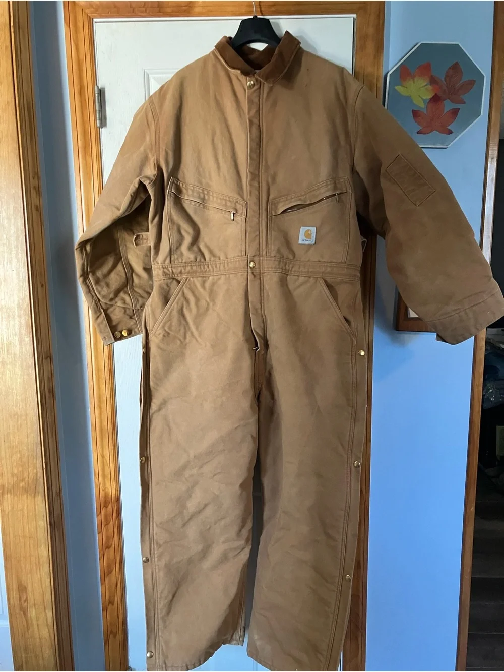 Carhartt Adult Brown Workwear Insulated Coverall